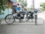 Goldwing